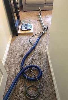 Professional Carpet Cleaning In Oak Park