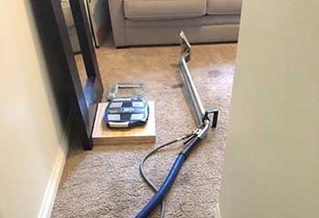 Professional Carpet Cleaning - Oak Park